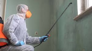 Trusted New Market, TN Mold Removal Experts